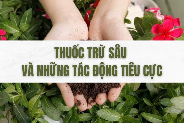 Thuốc trừ sâu và những tác động tiêu cực